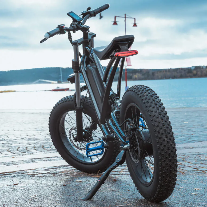 Hot Aluminum Electric Bike Fat Tire Rear Hub Motor Ebike Mountain Bicycle Cycling Electric City Bike Dirt Bike