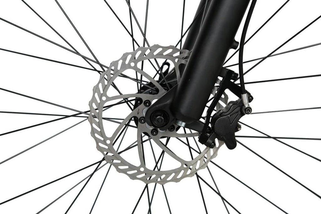 Hot Aluminum Electric Bike Fat Tire Rear Hub Motor Ebike Mountain Bicycle Cycling Electric City Bike Dirt Bike