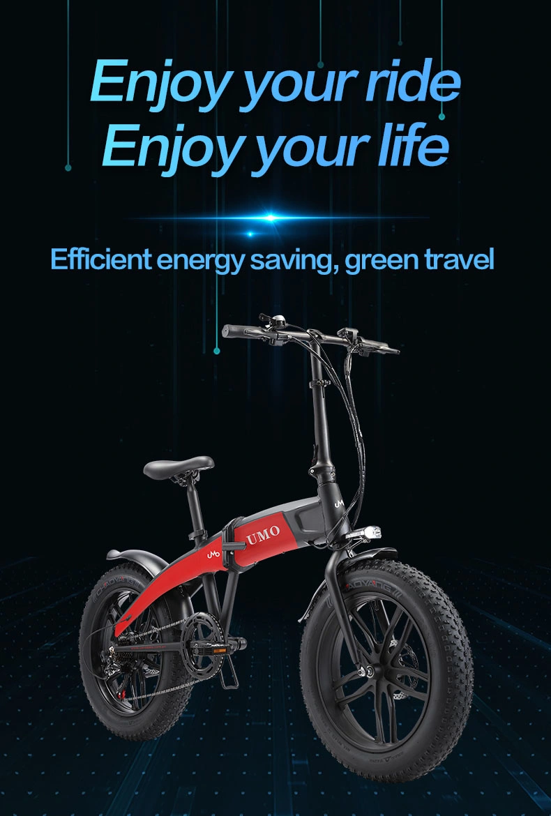 Engine PRO EU Warehouse Electric Bike Bicycle Motorbike Exercise Electric City Bike E Bike Engwe Folding Ebike