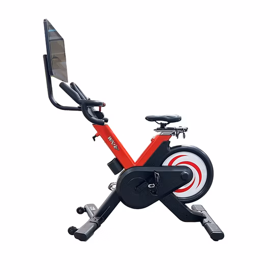 Professional Sport Commercial Magnetic Mini Fitness Exercise Spinning Bike Spin Bike for Indoor Home Gym Training