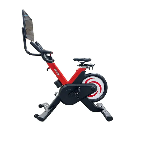 Professional Sport Commercial Magnetic Mini Fitness Exercise Spinning Bike Spin Bike for Indoor Home Gym Training