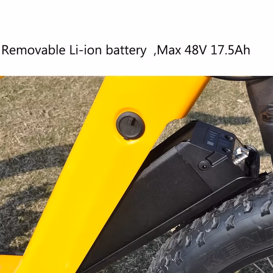 48V 500W Bafang MID Drive Motor Cycling Electric Bicycle Powerful Ebike Fat Tire Electric Mountain Bike